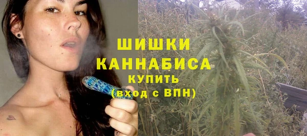 ешки Бронницы
