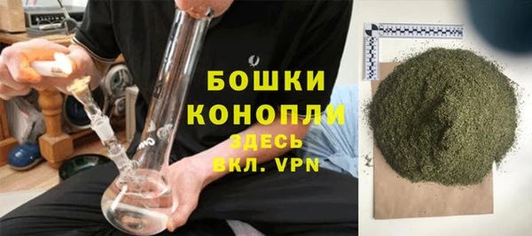 ешки Бронницы