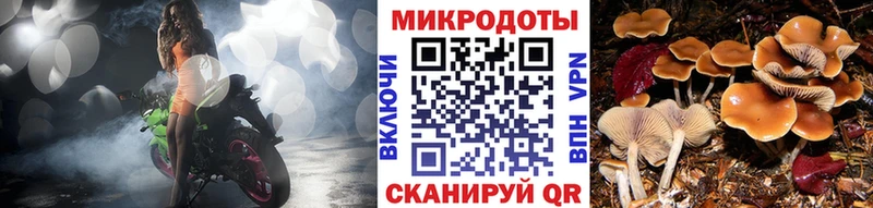 ссылка на мегу ссылки  Гусев  Галлюциногенные грибы Cubensis  дарнет шоп 